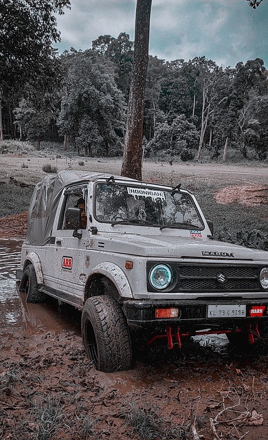 新势力的成 新势力的成