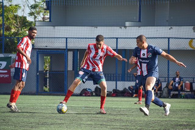 图中清晰地 图中清晰地