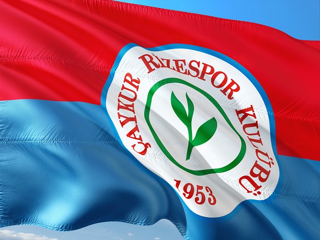 个位置球员 个位置球员