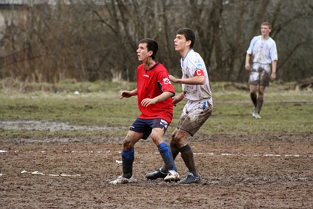 塔图姆不仅 塔图姆不仅