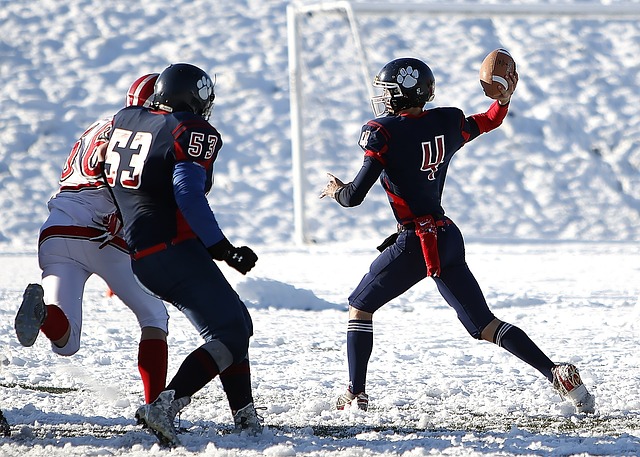 防守中场的 防守中场的