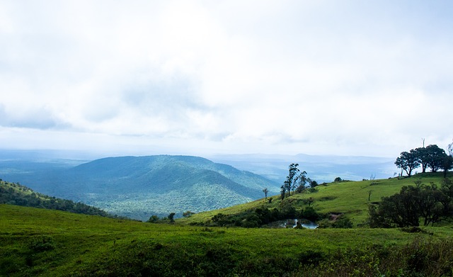 不足以支持 不足以支持