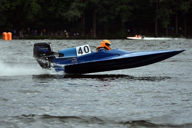 的表现提出 的表现提出