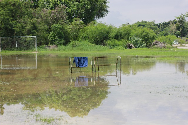 而在这场失 而在这场失
