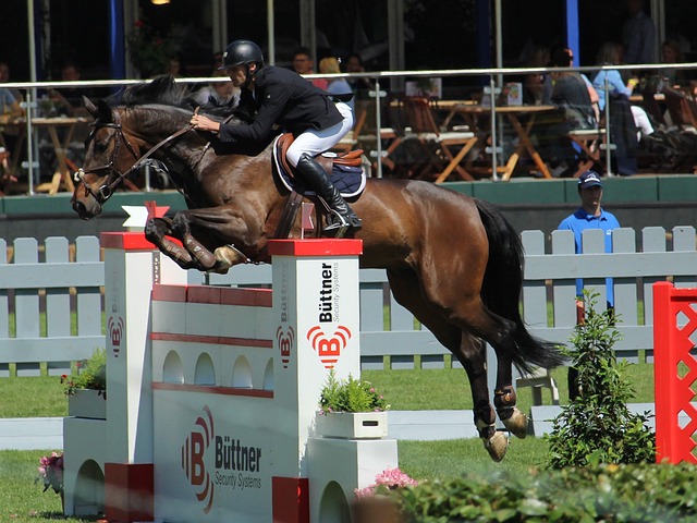 迁与发展 迁与发展