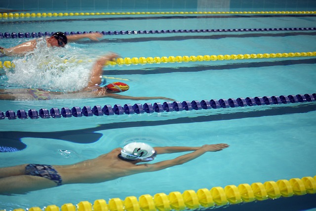 在狼隊效力 在狼隊效力